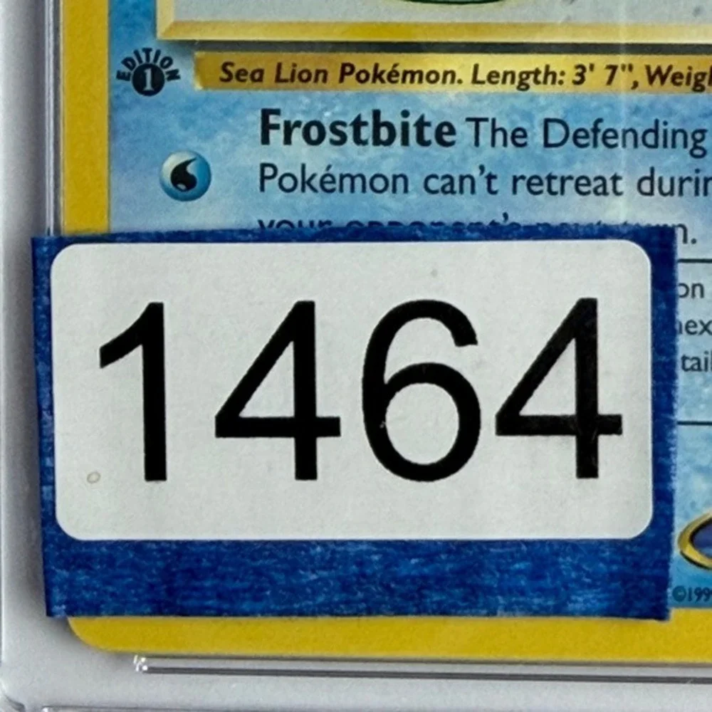 Pokémon misty seel